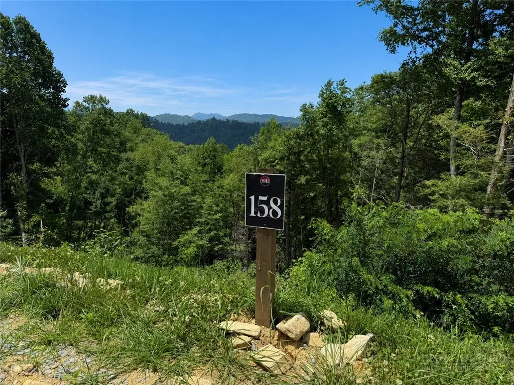 Lot 158 Tower Oaks Trail, Elk Park, NC 28622 - #1