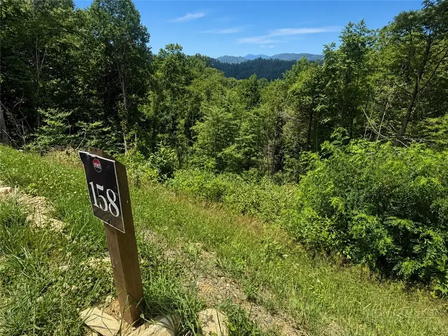 Lot 158 Tower Oaks Trail, Elk Park, NC 28622 - #3