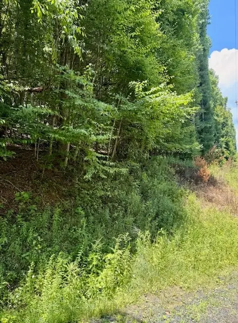 TBD Chestnut Creek Road, West Jefferson, NC 28694