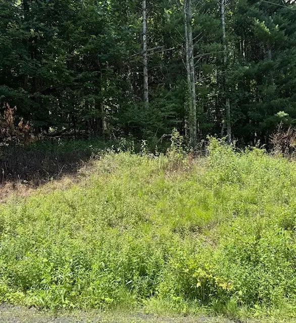 TBD Chestnut Creek Road, West Jefferson, NC 28694 - #2