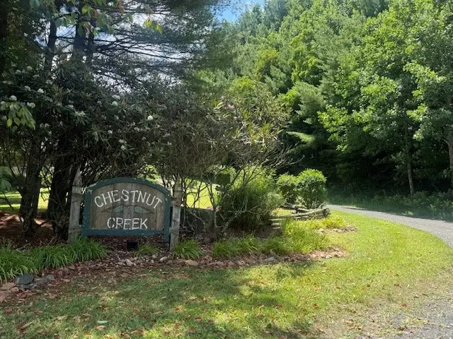 TBD Chestnut Creek Road, West Jefferson, NC 28694 - #3