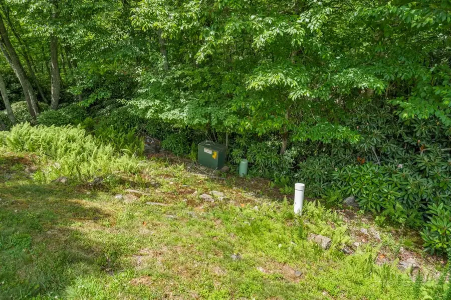TBD Firethorn Trail, Blowing Rock, NC 28605 - #3
