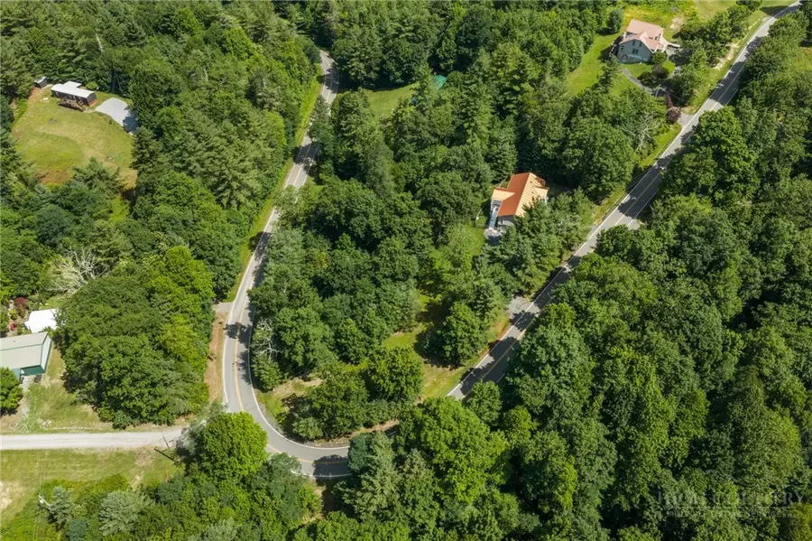 9081 Pittmans Gap Road, Newland, NC 28657 - #3