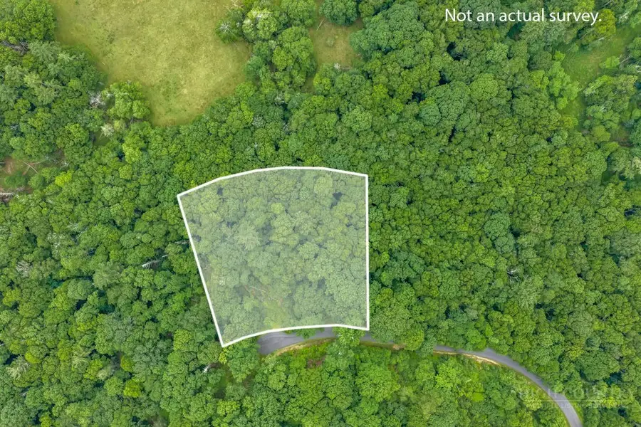 TBD Stack Rock Way, Blowing Rock, NC 28605 - #2