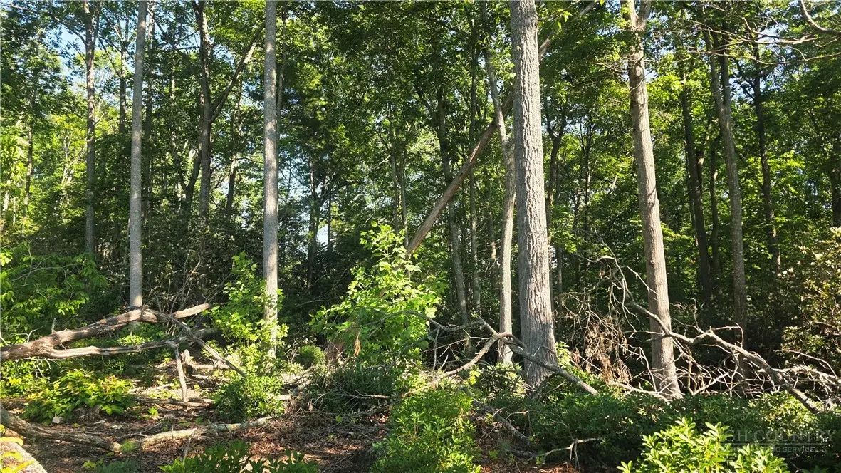 Lot 122 Pine Tree Drive, Spruce Pine, NC 28777 - #1