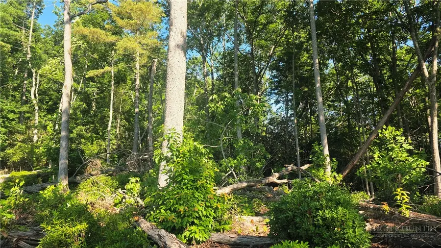 Lot 122 Pine Tree Drive, Spruce Pine, NC 28777 - #2