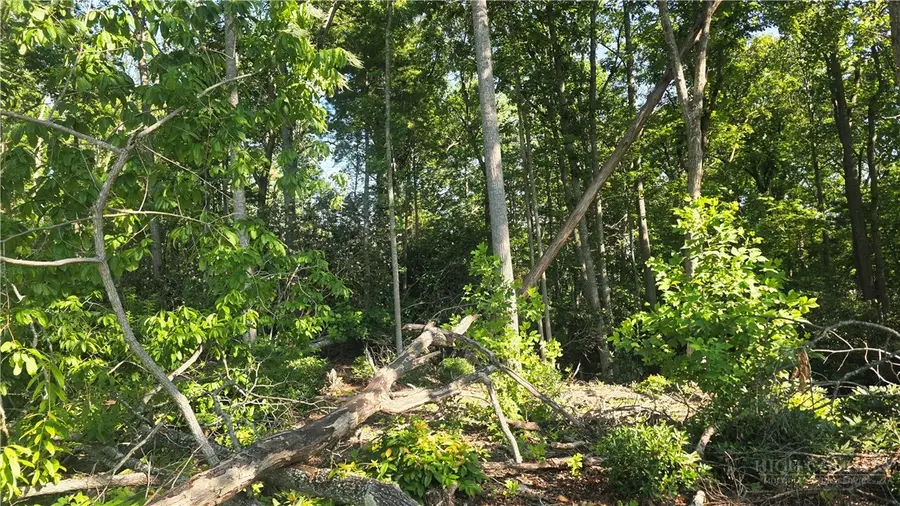 Lot 122 Pine Tree Drive, Spruce Pine, NC 28777 - #3