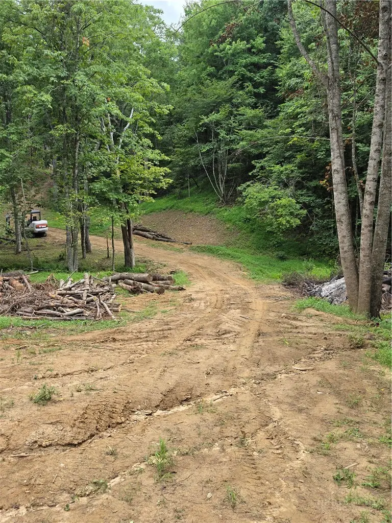 TBD River Country Road, Piney Creek, NC 28663 - #3