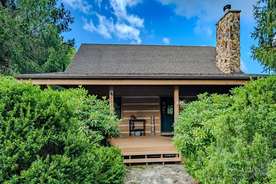 230 Hawks Bill Drive, Banner Elk, NC 28604 - #3