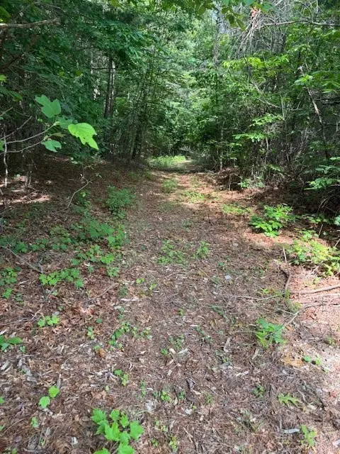 79 Elk Horn Road, Ferguson, NC 28624 - #1