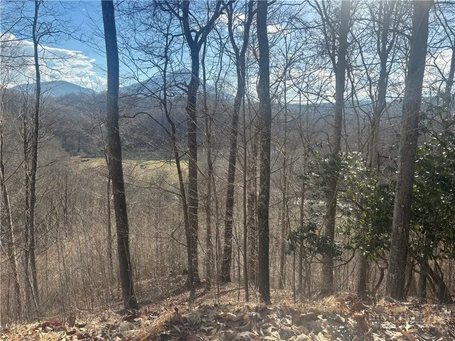 Lot 19 Clear Waters Edge Estate, Creston, NC 28615 - #2