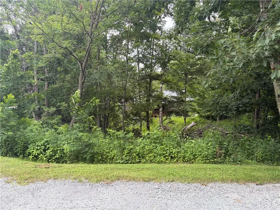 TBD Tbd Adams Apple Drive, Banner Elk, NC 28604 - #2