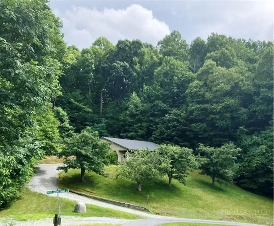 634 Roy E Brown Road, Vilas, NC 28692 - #2