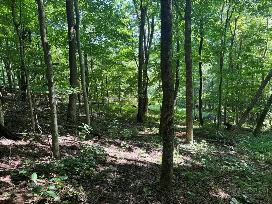 TBD Alida Court, Boone, NC 28607 - #2