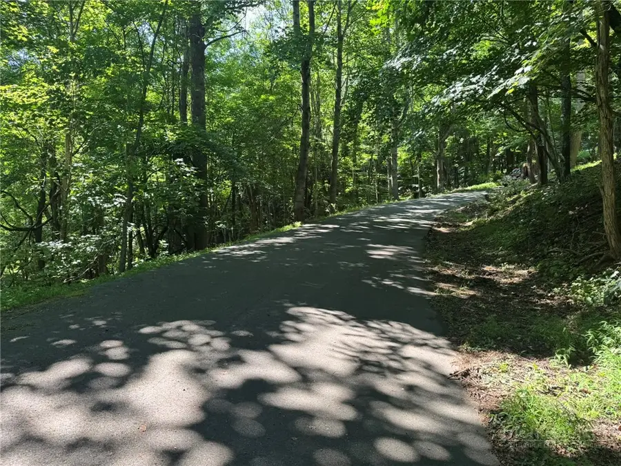 TBD Alida Court, Boone, NC 28607 - #3