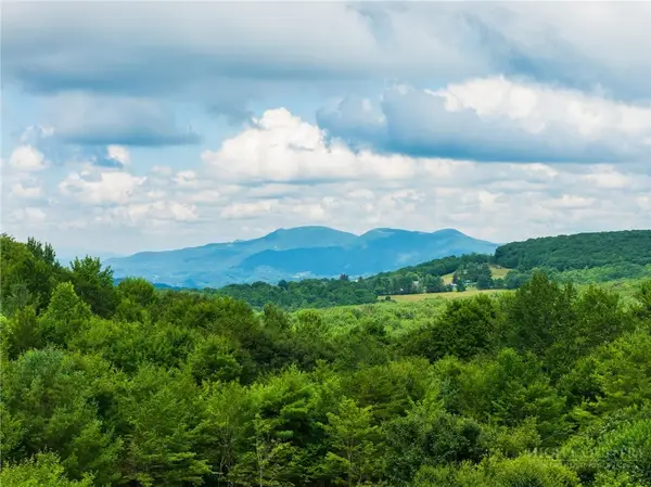 102 Spring Branch Road #A, Beech Mountain, NC 28604