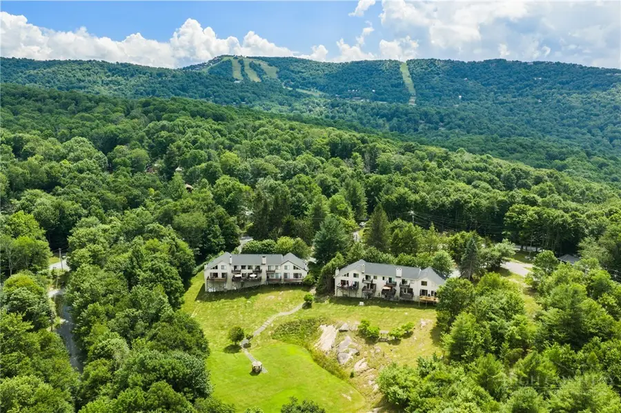 102 Spring Branch Road #A, Beech Mountain, NC 28604 - #3