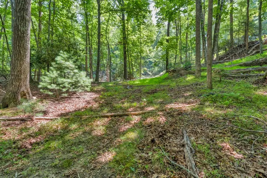 Lots Er 11-14 Powder Horn Mountain Rd Road, Deep Gap, NC 28618 - #2