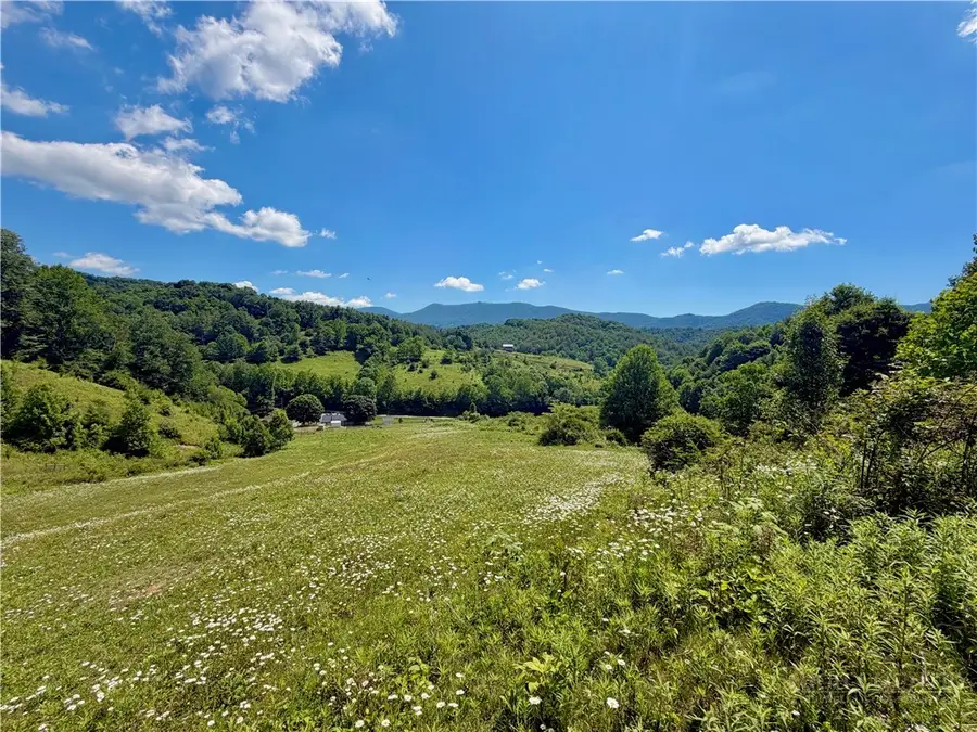 419 Fletcher Branch Road, Vilas, NC 28692 - #3