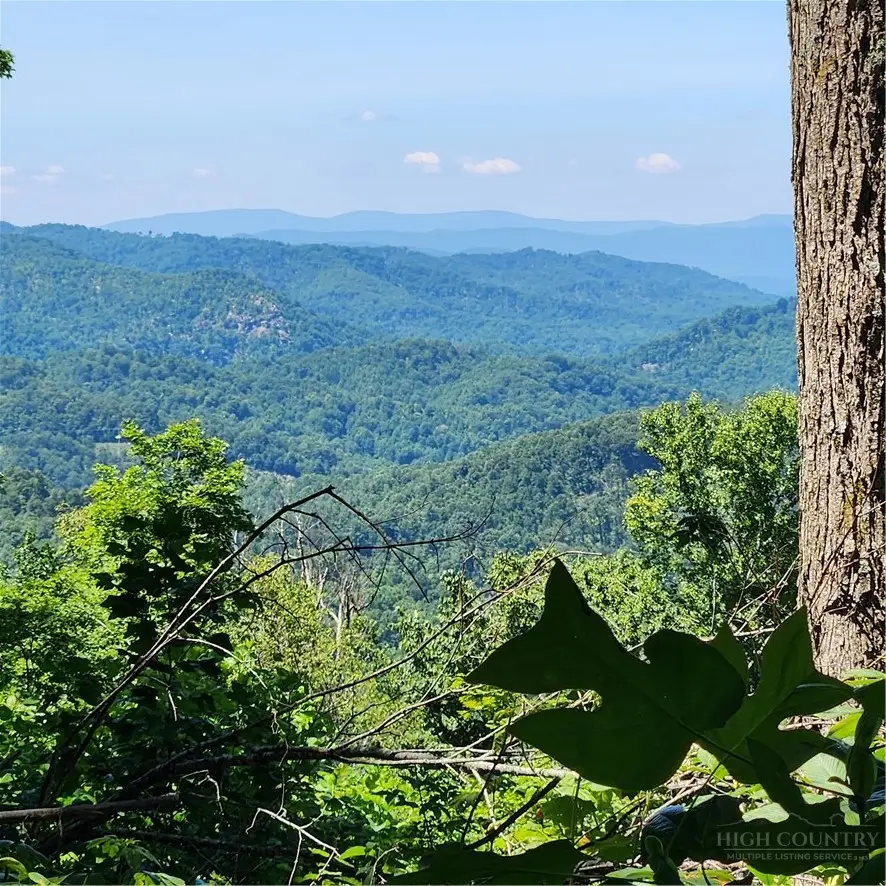 TBD (Lot#9) Bear Paw Road, Elk Park, NC 28622 - #2