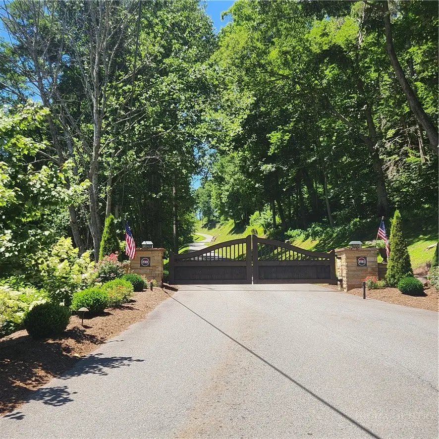 TBD (Lot#9) Bear Paw Road, Elk Park, NC 28622 - #3