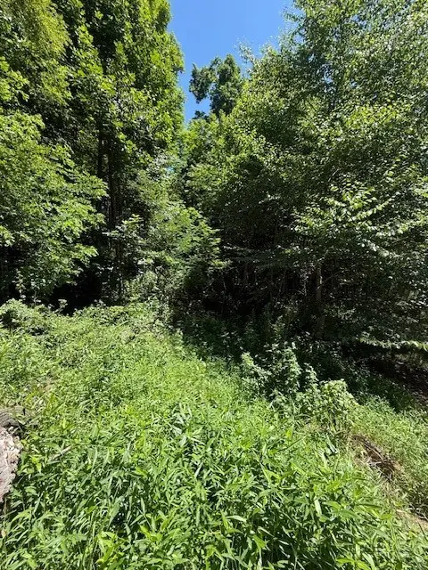 TBD Lot 37B Shady Valley Drive, West Jefferson, NC 28694 - #3