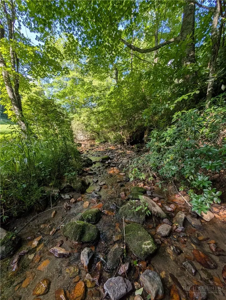 1243 Meadowfork Road, Laurel Springs, NC 28644 - #3