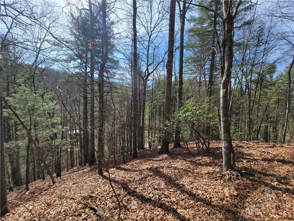 TBD (Lot 72) Creekside Meadows Drive, Fleetwood, NC 28626 - #1