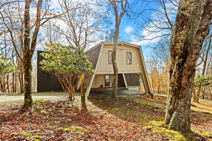 207 Pinnacle Ridge Road, Beech Mountain, NC 28604 - #2