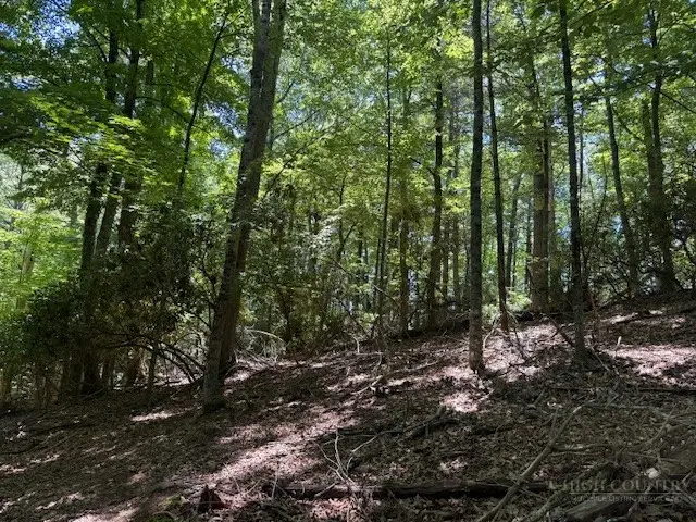 TBD Lot 20 High Meadows Lane, Fleetwood, NC 28626 - #2