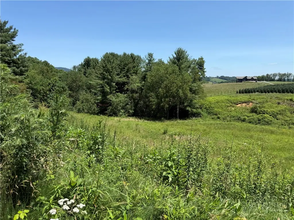 TBD Amberidge Drive, Jefferson, NC 28640 - #1