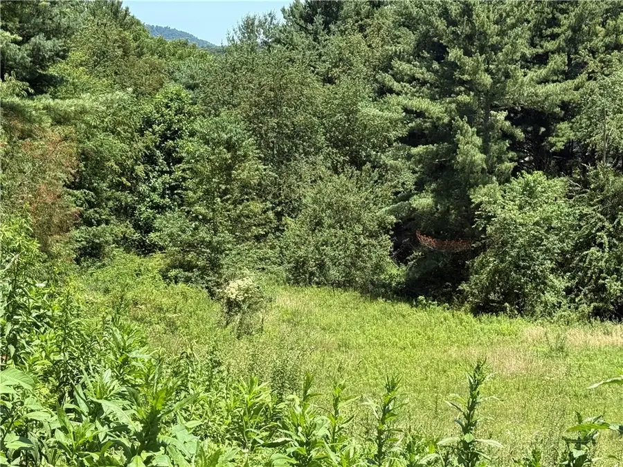 TBD Amberidge Drive, Jefferson, NC 28640 - #2