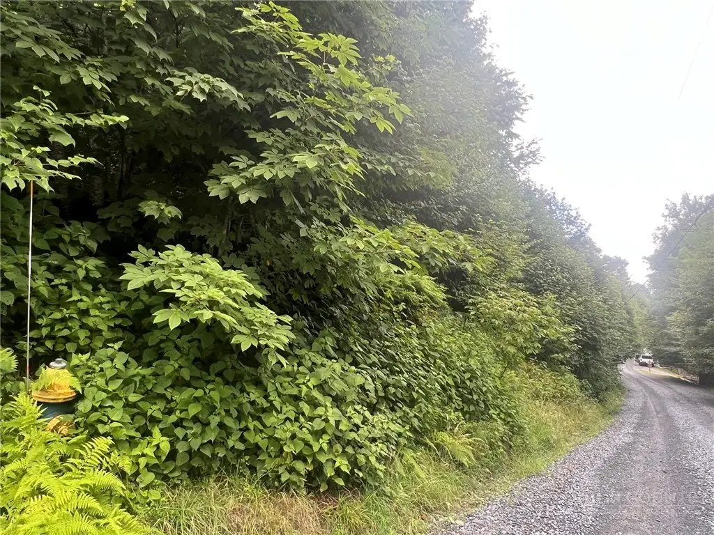 123 Village Road, Beech Mountain, NC 28604 - #1
