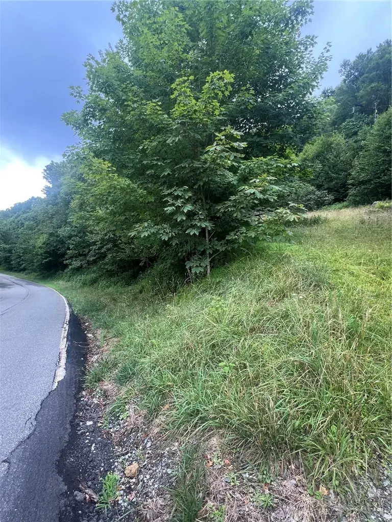 123 Village Road, Beech Mountain, NC 28604 - #2