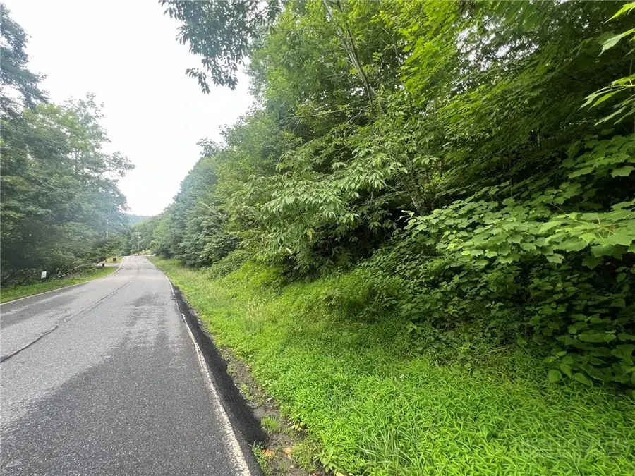 123 Village Road, Beech Mountain, NC 28604 - #3
