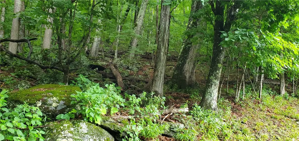 TBD Thorncliff Drive, Seven Devils, NC 28601 - #1