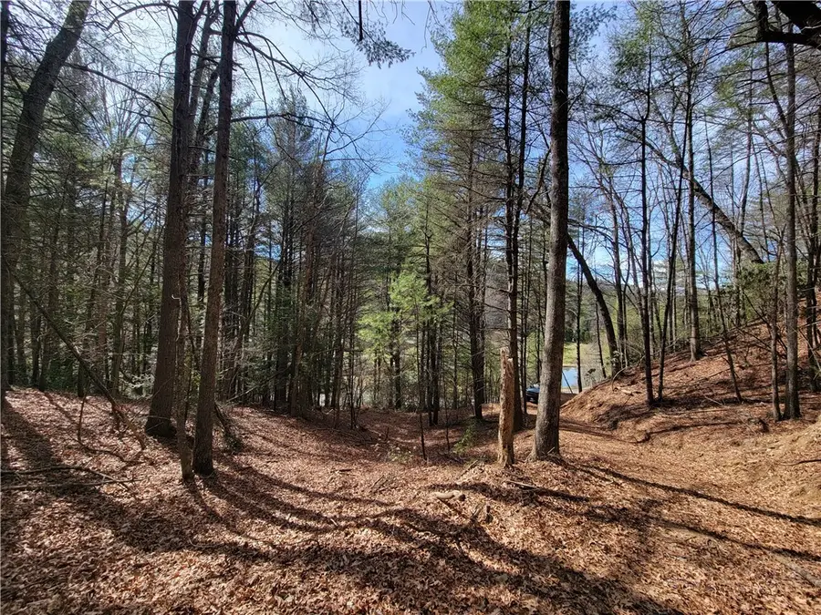 TBD (Lot 73) Creekside Meadows Drive, Fleetwood, NC 28626 - #2