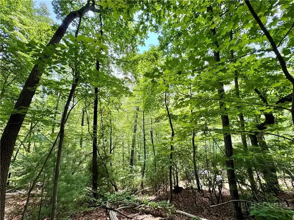 35 Acres Lot 23 Bear Track Lane, Lenoir, NC 28645