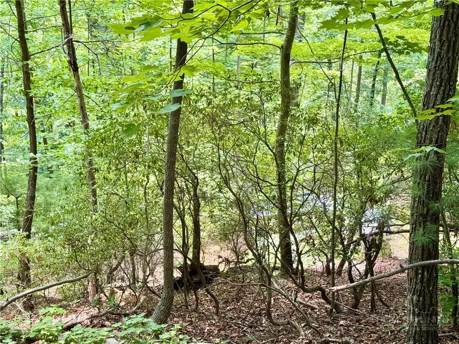 35 Acres Lot 23 Bear Track Lane, Lenoir, NC 28645 - #2