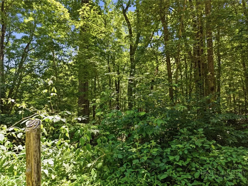 Lot 29 Chickasaw Trail, Blowing Rock, NC 28605 - #1