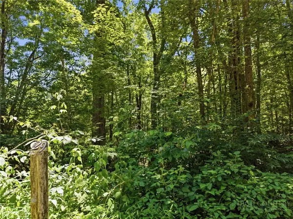 Lot 29 Chickasaw Trail, Blowing Rock, NC 28605