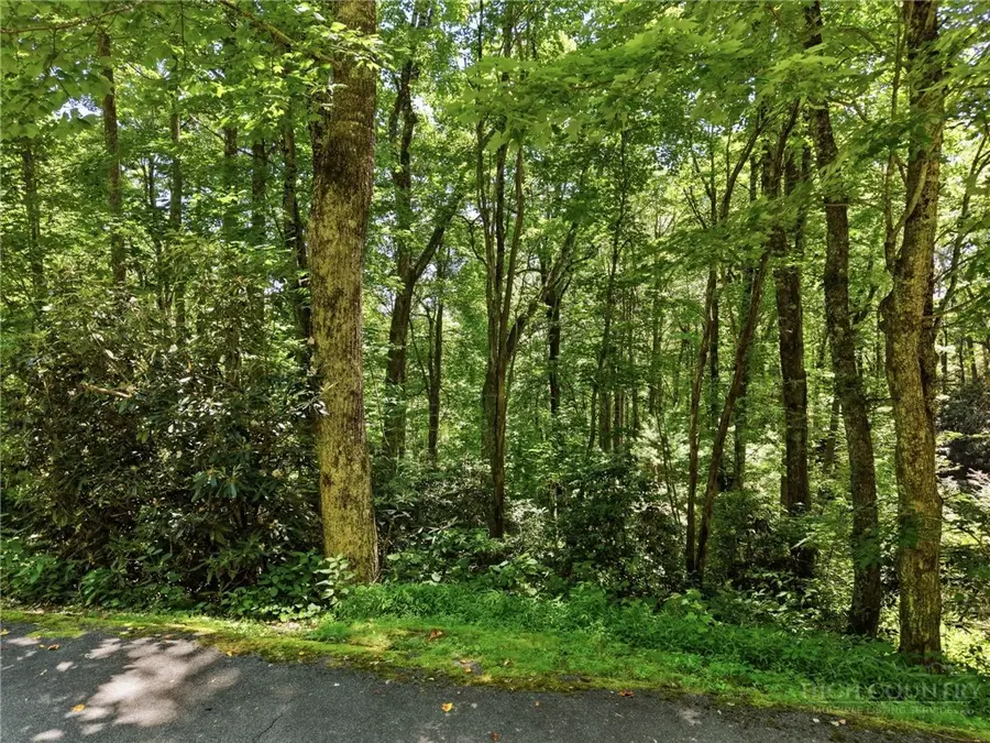 Lot 29 Chickasaw Trail, Blowing Rock, NC 28605 - #2