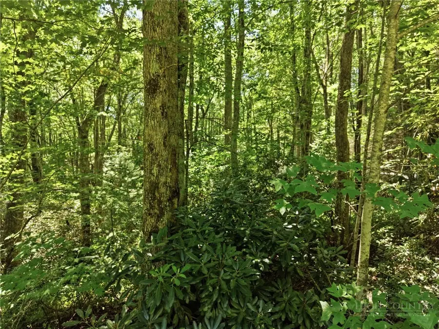 Lot 29 Chickasaw Trail, Blowing Rock, NC 28605 - #3