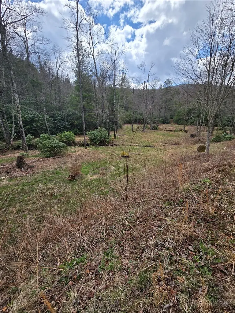 TBD E Laurel Springs Drive, Newland, NC 28657 - #1