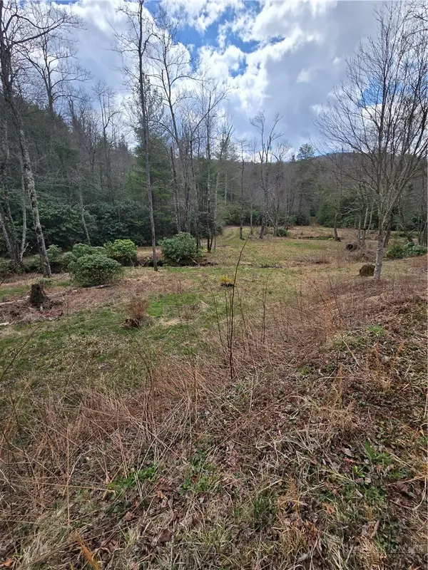 TBD E Laurel Springs Drive, Newland, NC 28657
