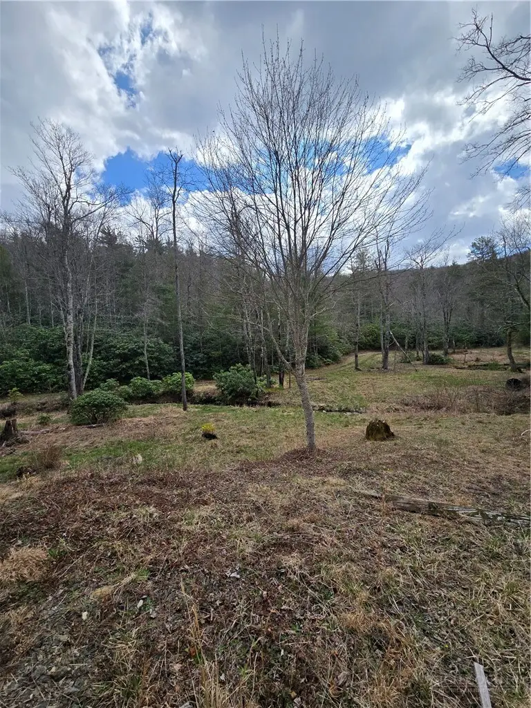 TBD E Laurel Springs Drive, Newland, NC 28657 - #2