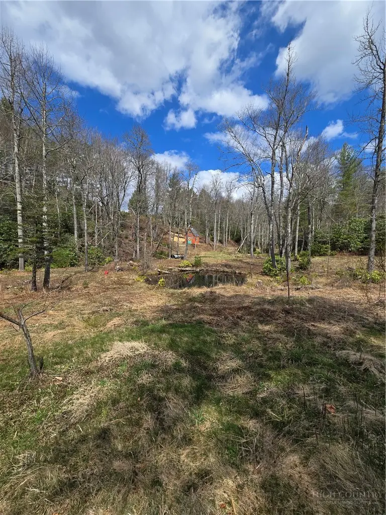 TBD E Laurel Springs Drive, Newland, NC 28657 - #3