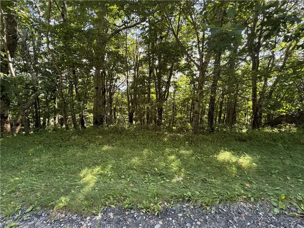 TBD Pinnacle Drive, West Jefferson, NC 28694 - #1