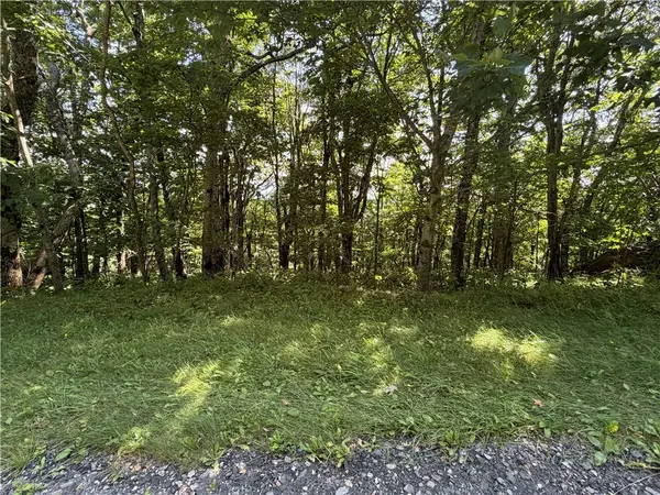 TBD Pinnacle Drive, West Jefferson, NC 28694