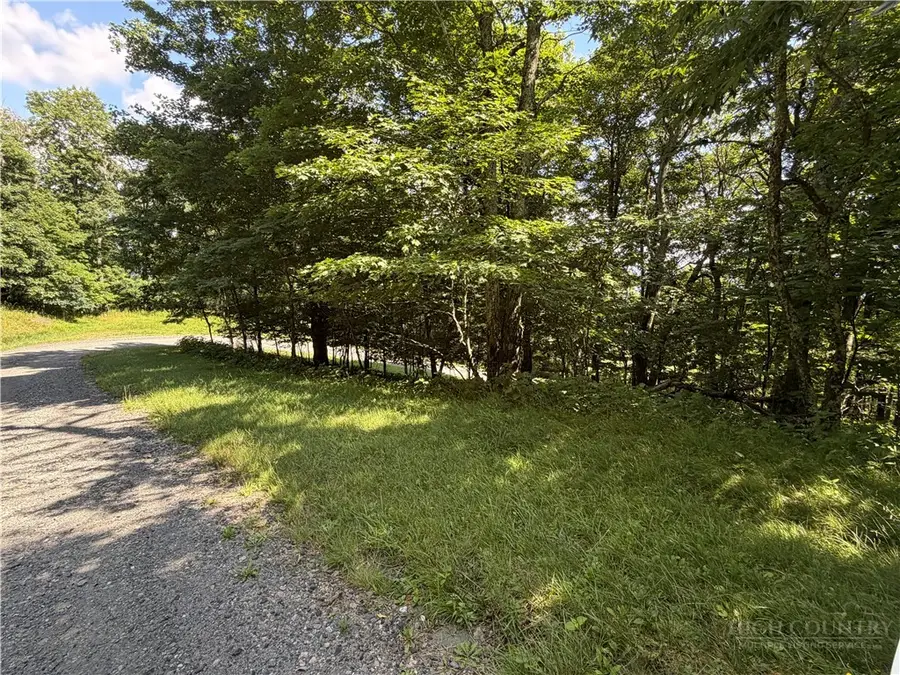 TBD Pinnacle Drive, West Jefferson, NC 28694 - #2